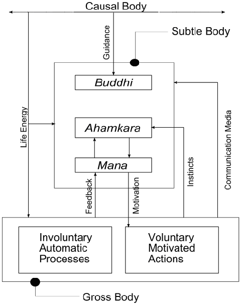 Samkhya model of typical animal behavior Samkhya model of typical animal behavior